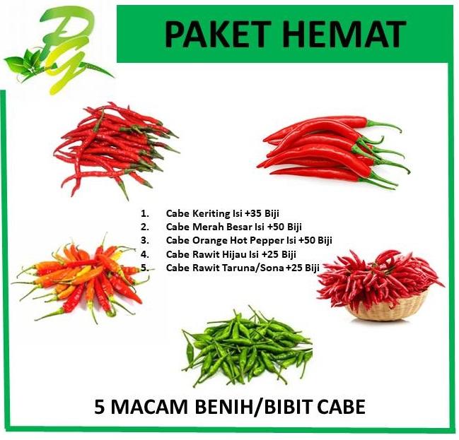 Gambar PEERINA Paket Benih Bibit Cabe 5 Macam Benih - Paket Hemat dari Pelangi Seribu Warna undefined Tokopedia