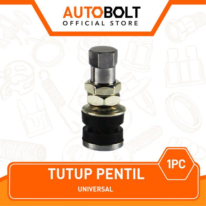 Gambar Pentil Tubeless Ban Motor Mobil Sepeda Panjang/Pendek Tubeles Tubless - Pendek dari AUTOBOLT Official Store undefined Tokopedia