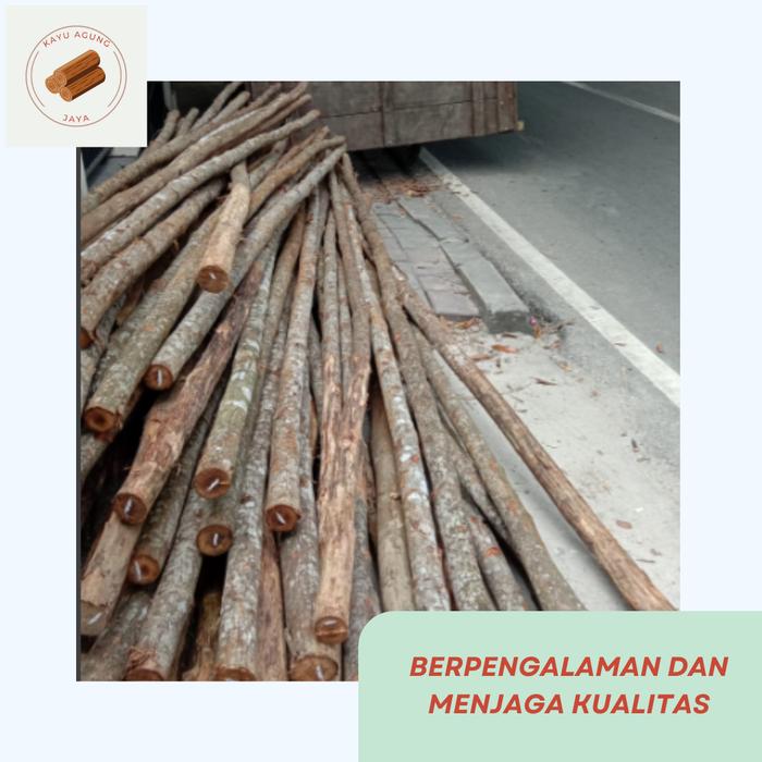 Jual Kayu Dolken Ukuran 8/10 untuk Proyek Harga per Batang Kota Tangerang Kayu Agung Jaya