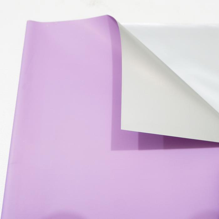 Gambar [5 Lembar] Bicolor Silver Flower Wrap / Kertas Bunga / Cellophane- FWB - SILVER-LAVENDER dari FLOPY - Floristsupply undefined Tokopedia