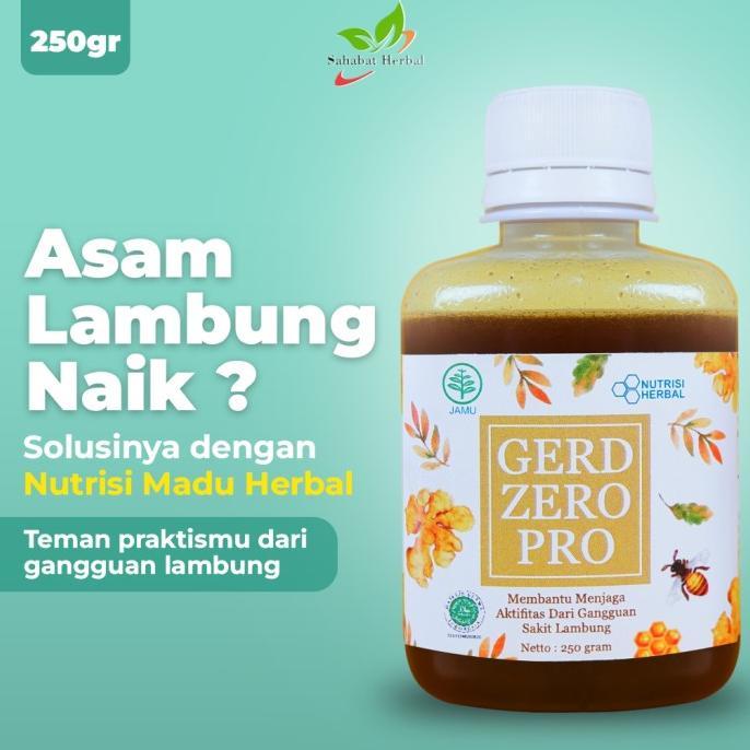 Gambar Ready GERD ZERO PRO / OBAT ASAM LAMBUNG MADU HERBAL AMPUH / MAAG / - 105gr dari lapaklaku26 undefined Tokopedia