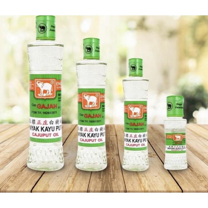Gambar MINYAK KAYU PUTIH CAP GAJAH 60ml dari ayu pesona undefined Tokopedia