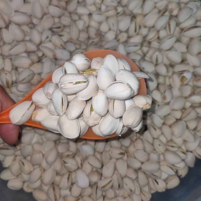 Gambar 1000gr Pistachio - VAKUM - Kacang Fustuk - Premium - Matang dari Kesehatan Vegan Kuartet Nabati undefined 5 Tokopedia
