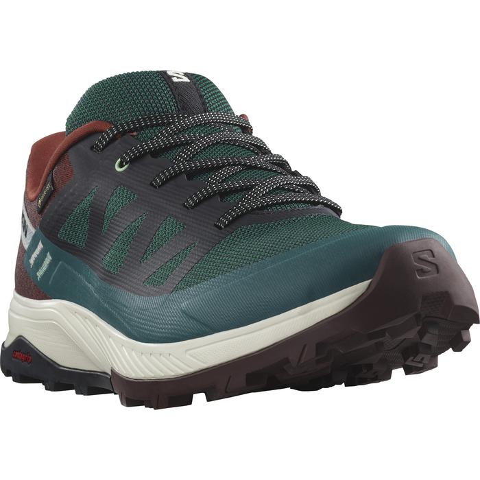 Gambar Hiking Shoes Salomon Outrise GTX (Unisex) - PONDEROSA PINE, 45 1/3 dari SALOMON.ID undefined Tokopedia