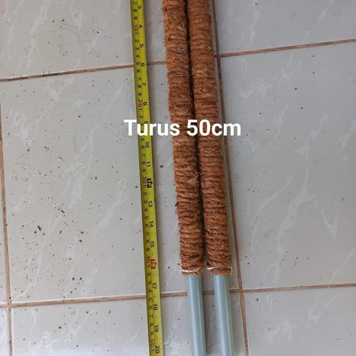 Gambar Turus Penyangga Tanaman 50cm dari Arta Lucky Star Garden undefined Tokopedia