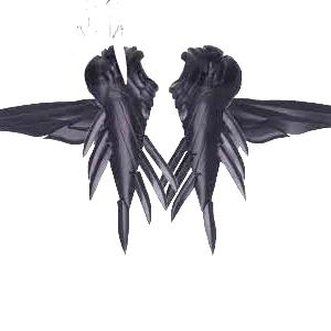 Gambar Susan Model Wing Kit for 1/144 model kit | custom wing gundam HG RG - Hitam dari Gk hobby undefined Tokopedia