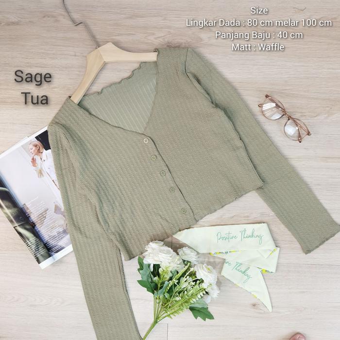 Gambar Crop top Wanita Lengan panjang Lidi waffle / Kaos wanita Korean tshirt - Sage tua dari @powder_su.galaxyfit undefined Tokopedia