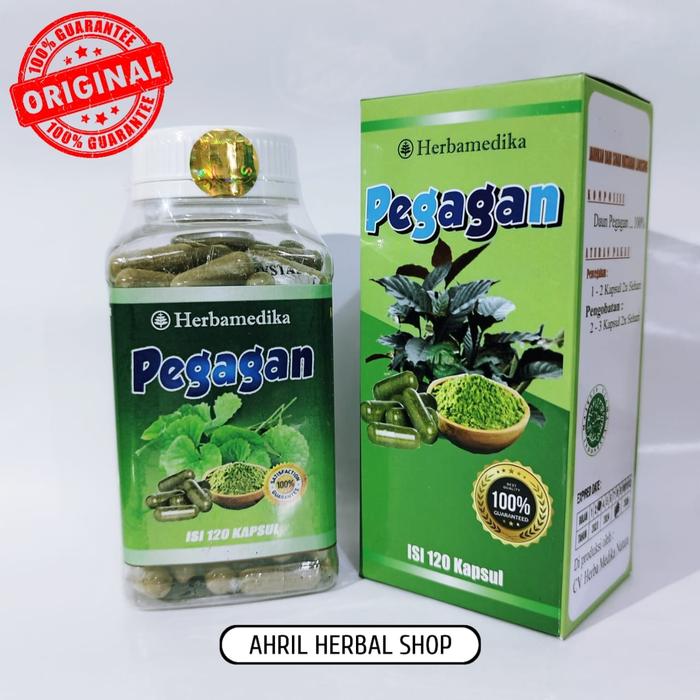 Gambar Kapsul Pegagan Herbal Ekstrak Daun Pegagan Isi 120 Kapsul - isi 120 kapsul dari Ahril Herbal Shop undefined Tokopedia