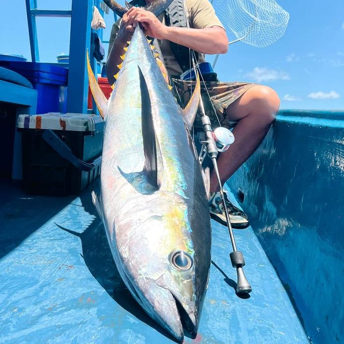 Gambar Joran Shimano Ocea Jigger LIMITED B62-2 Made In Japan Rod 2023 NEW dari NORTH BLUE FISHING undefined Tokopedia