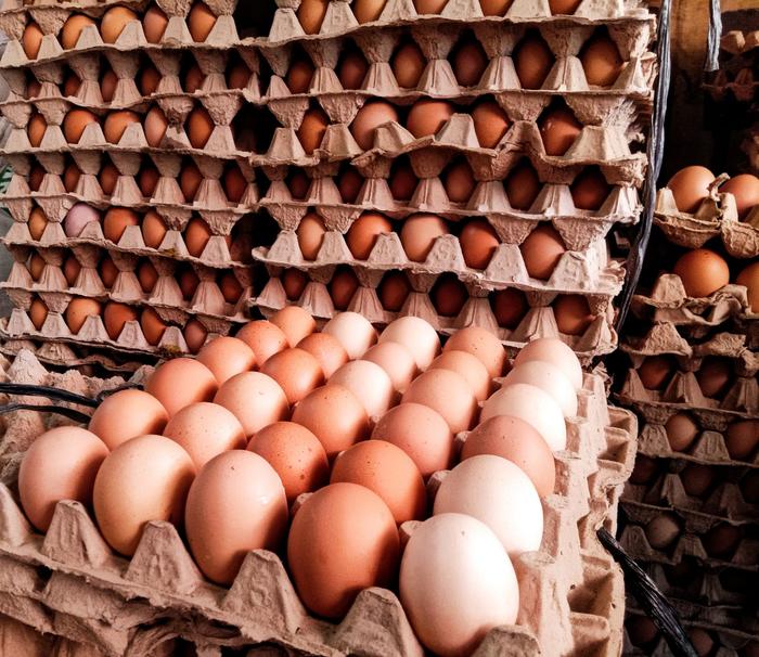 Gambar Telur Ayam 1 papan isi 30 butir dari MiniMarket899 undefined Tokopedia