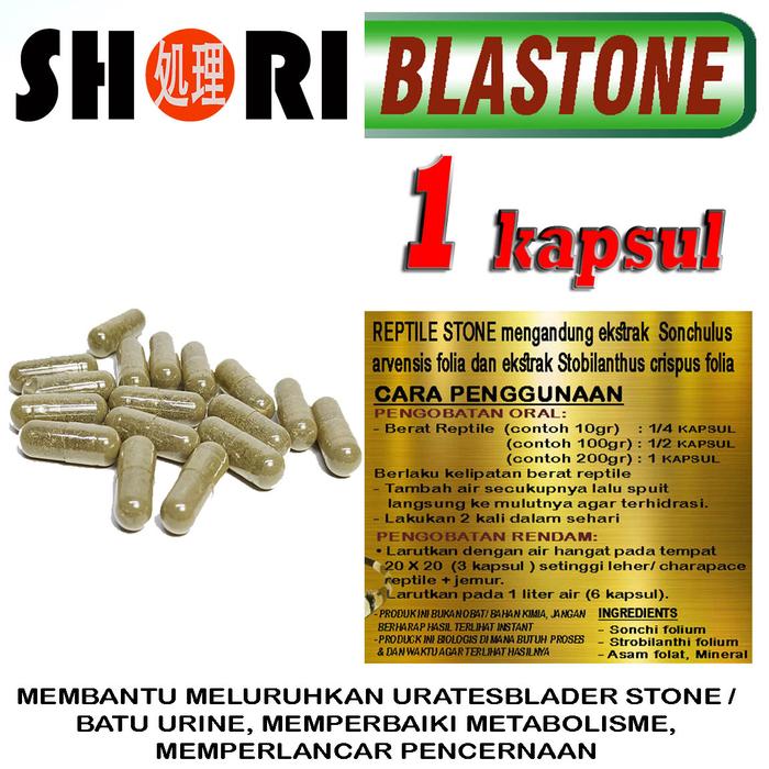 Gambar BLASTONE OBAT PENCERNAAN HEWAN REPTILE BS BLADDER STONE URATES IGUANA SULCATA PARDALIS REPTIL - 1 kapsul dari REPTILESTORE. ID undefined Tokopedia