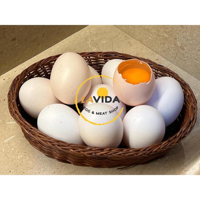 Gambar Telur Ayam Kampung OMEGA / Butir dari Lavida Eggmeatshop undefined Tokopedia
