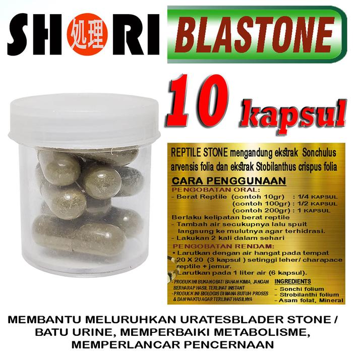 Gambar BLASTONE OBAT BS BLADDER STONE URATES KURA DARAT SULCATA IGUANA REPTIL - 10 KAPSUL dari REPTILESTORE. ID undefined Tokopedia