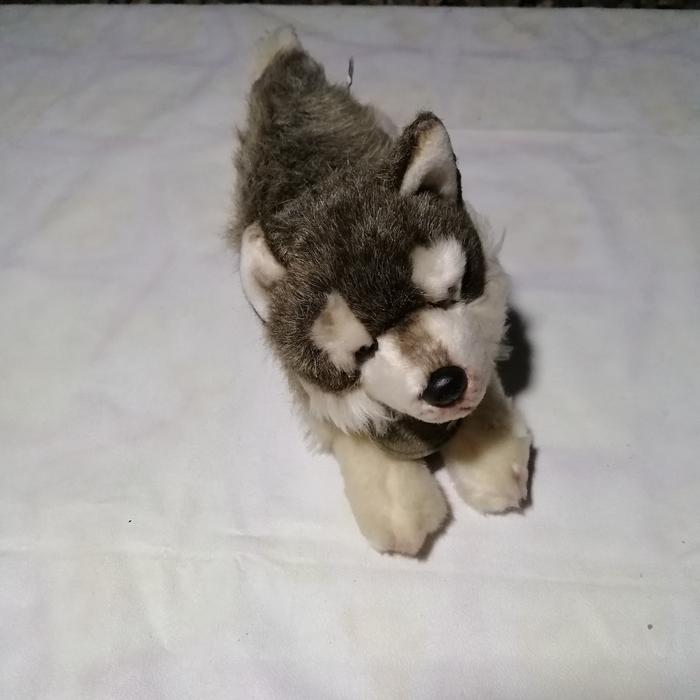 Toy Siberian Husky Jual Yomiko Classics Siberian Husky Puppy Plush