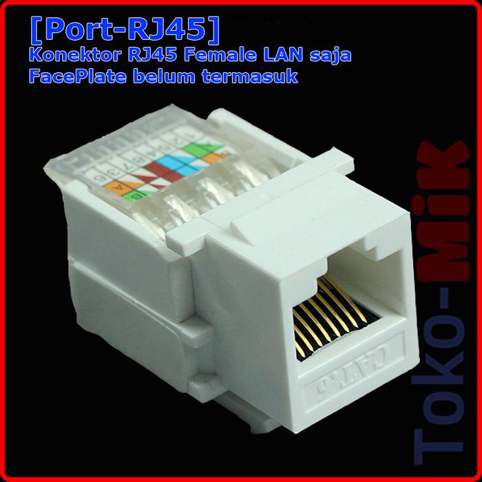 Gambar Konektor RJ45 LAN RJ11 Telepon Wall Socket Tembok FacePlate Inbow - RJ45-Port dari Toko-MIK undefined Tokopedia