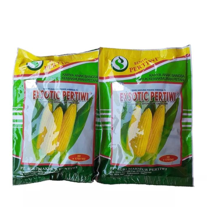 Gambar BENIH BIBIT JAGUNG MANIS EXOTIC PERTIWI 1.750 Butir eksotik,exotic,eks dari ELANG MANDIRI TANI undefined Tokopedia