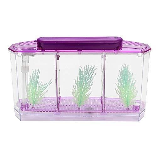 Gambar Mini Aquarium Nano USB Akuarium Dekstop Meja - 3 Sekat Ungu dari Jakarta Hobby undefined Tokopedia