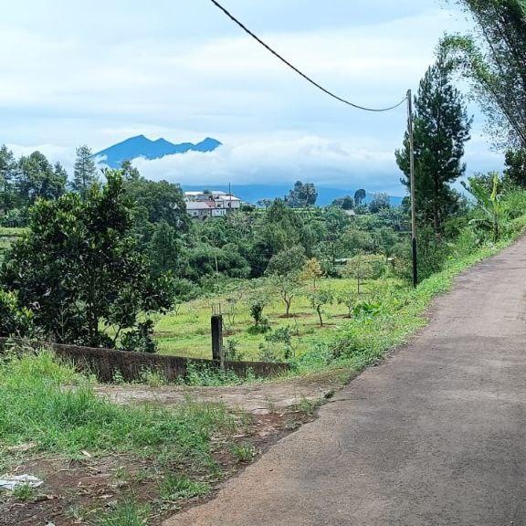 Gambar Tanah Kebun Jual BU Murah di Puncak dari Tanah Kavling TV undefined Tokopedia
