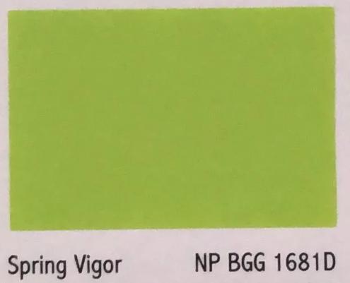 Gambar Nippon Paint vinilex 5kg Cat dalam Ruangan | ready mix - SPRING VIGOR dari MADJUTOKO_NEW undefined Tokopedia