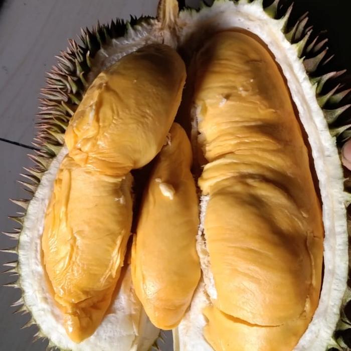 Gambar Durian Kanyao Best Seller 2kg Bulat Utuh Fresh dari Tulus Durian undefined Tokopedia