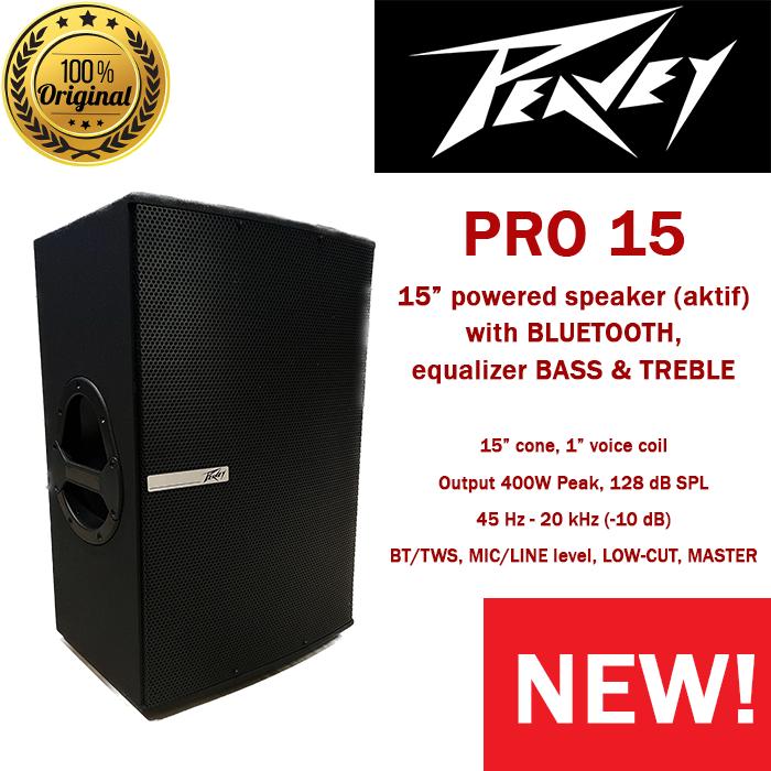 Peavey PR15 国内希少 軽くて頑丈！（Peavey PR15 Speaker UPGRADE
