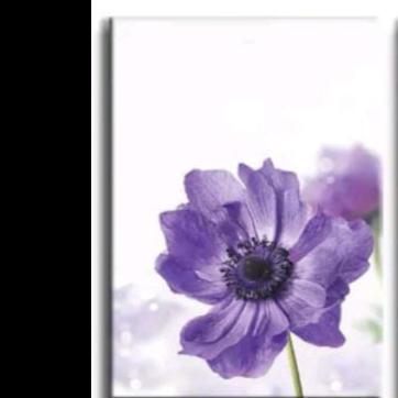 Gambar HIASAN DINDING RUANG TAMU BUNGA UNGU WALL ART KEKINIAN BUNGA YD243 - E01, 10X20CM (MDF) dari YoomDeco undefined Tokopedia