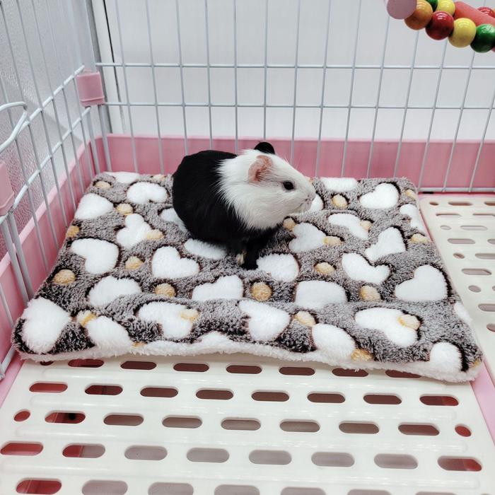 Jual BANTAL HEWAN Tempat Tidur GUINEA PIG KELINCI HAMSTER DLL AVR
