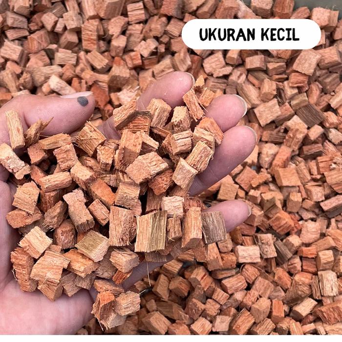 Gambar Coco Husk Cocochip - Media Tanam / Alas Substrat Kandang Reptile - Kecil dari workplant official undefined Tokopedia