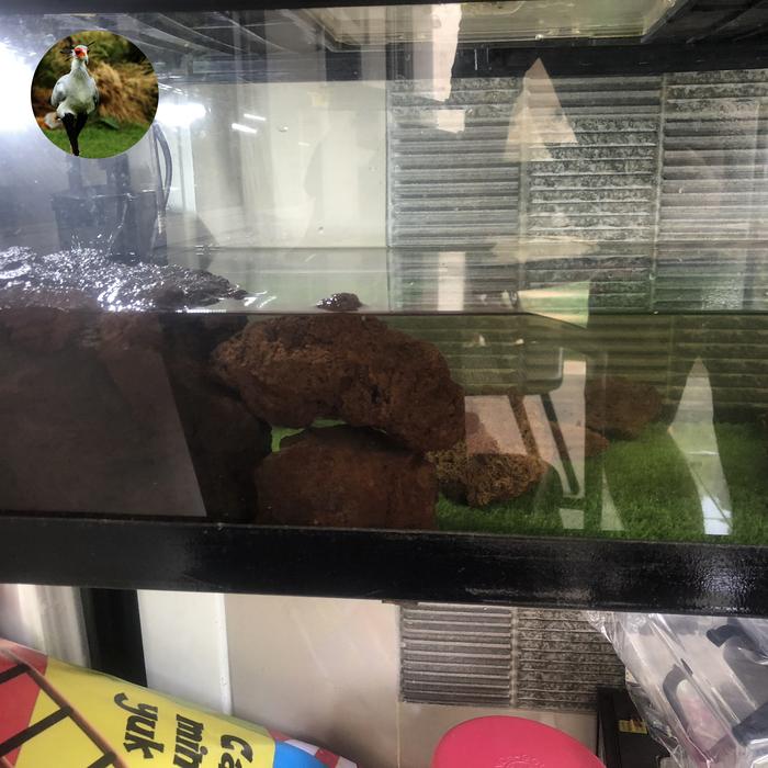 Gambar Jual aquarium nikita bekas - Hitam, 60x30 dari WarungDipa undefined Tokopedia