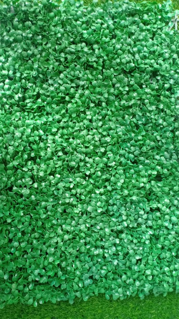 Gambar Daun Dinding Sintetis Dolar Dolaran Buat Tanaman Artificial 40x60cm - 40 x 60cm dari KFI SPORT OFFICIAL undefined Tokopedia