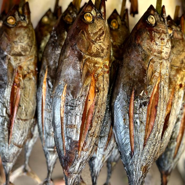 Gambar Ikan Cakalang Asap - 1 ekor dari Pasar Beriman Tomohon undefined Tokopedia