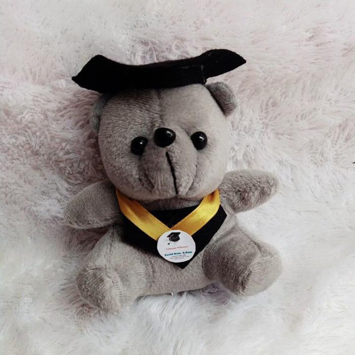 Gambar SERTIFIKAT WISUDA BUKET WISUDA BONEKA WISUDA GRADUATION - Boneka Only, Pakai Kotak dari Henss Gallery undefined Tokopedia