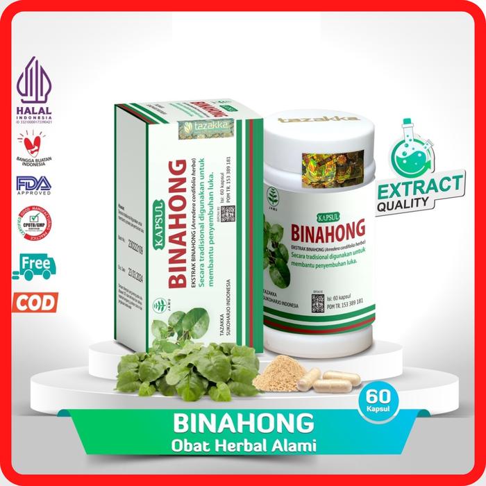 Gambar Kapsul BINAHONG Tazakka Ekstrak Daun Asli Obat Gatal & Alergi dari istana.herbal23 undefined Tokopedia