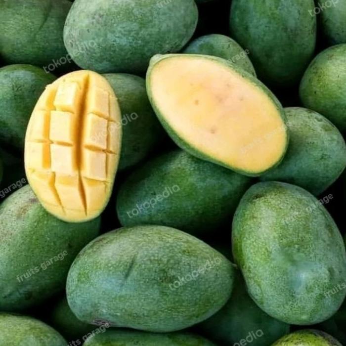 Gambar Mangga Manalagi Madu - 1 kg dari Siti Fresh undefined Tokopedia