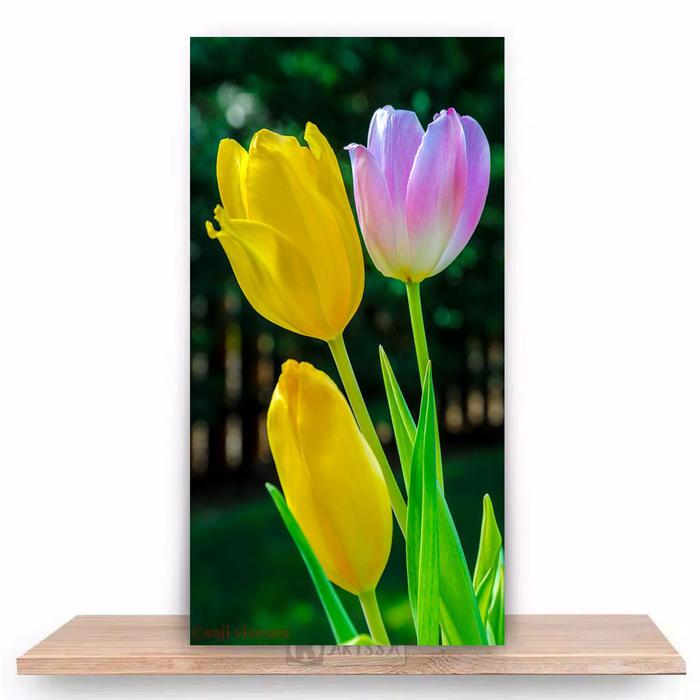 Gambar Hiasan Dinding Aesthetic Pajangan Ruang Tamu Dekorasi Dinding Kamar - TL9 dari KARISSUT undefined Tokopedia