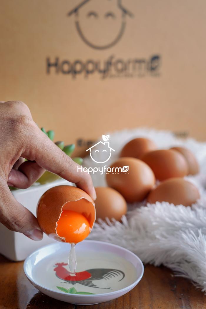 Gambar Telur Coklat Omega Red Organik 30butir/1.9kg by Happyfarm dari happyfarmbdg_NEW undefined Tokopedia