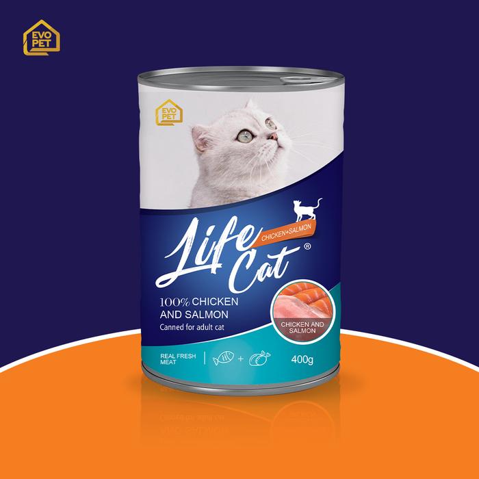 Kitekat Cat Food Tins Jual Kitekat Makanan Kucing Wetfood Pouch