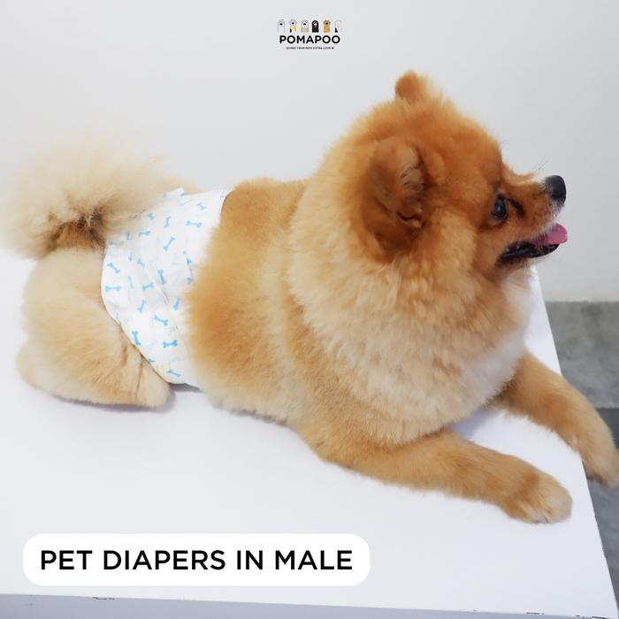 Gambar POMAPOO - Popok / Diapers Kucing dan Anjing Jantan dan Betina - MALE, DIAPERS - XL dari Pomapoo undefined Tokopedia
