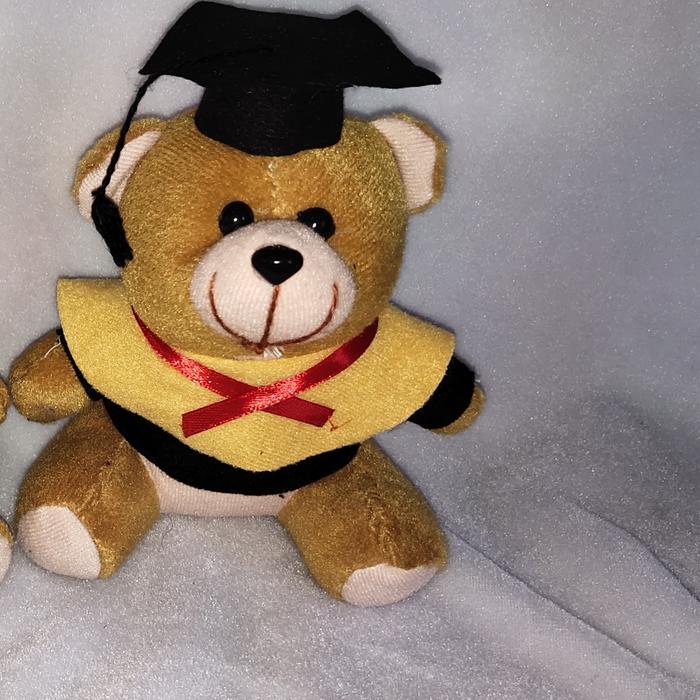Gambar boneka wisuda mini 15 cm - Cokelat dari Ar_raihan toys undefined Tokopedia