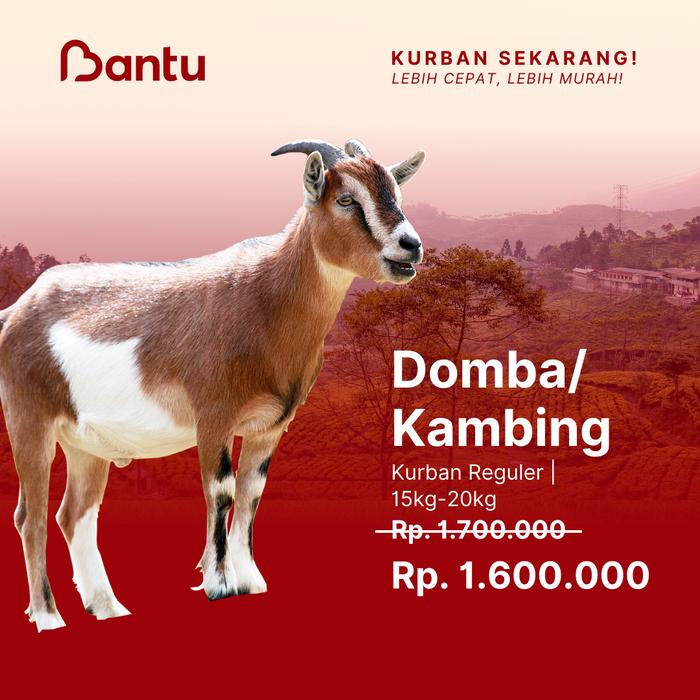 Gambar BantuKurban | Kurban Sekarang | Domba/Kambing - Reguler 15-20kg dari Bantukurban Kota Administrasi Jakarta Selatan Tokopedia
