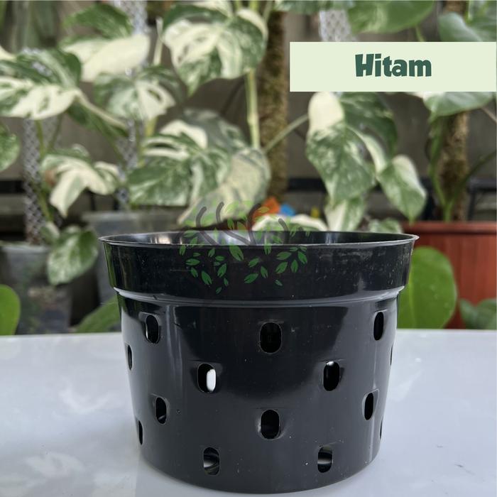 Gambar Pot Anggrek PD 15 Pot Anggrek Hidroponik Warna Hitam Putih Merah - Hitam dari Bandar Kembang undefined Tokopedia