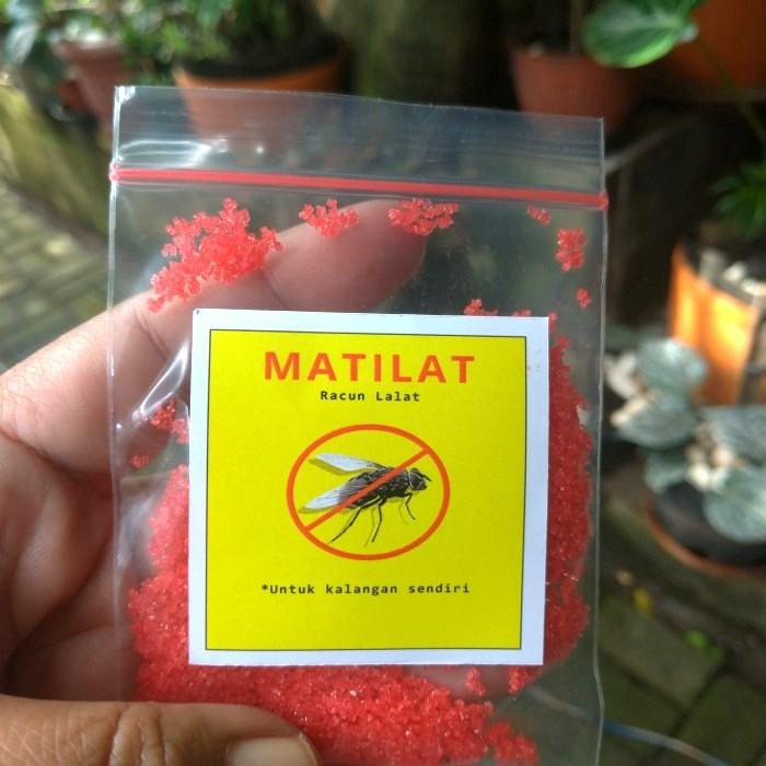 Gambar MatiLat Pembasmi Lalat SUPER AMPUH Pada Kandang Peternakkan Ayam - 10 gram dari Rumah Vaksin Ayam undefined Tokopedia