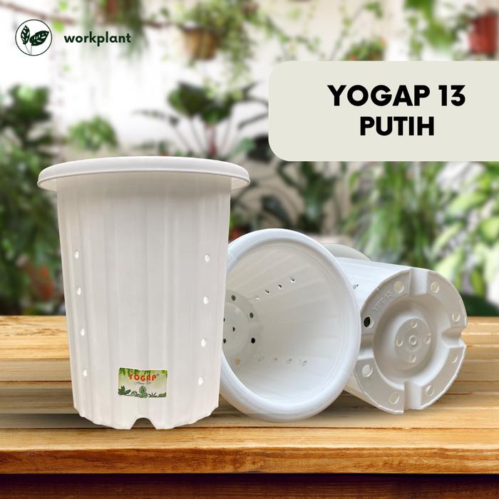 Gambar Pot Yogap (Extra Drainase) - Ukuran 13 Pot Bunga Tanaman Hias Tebal - Putih, 1 pcs dari workplant official undefined Tokopedia
