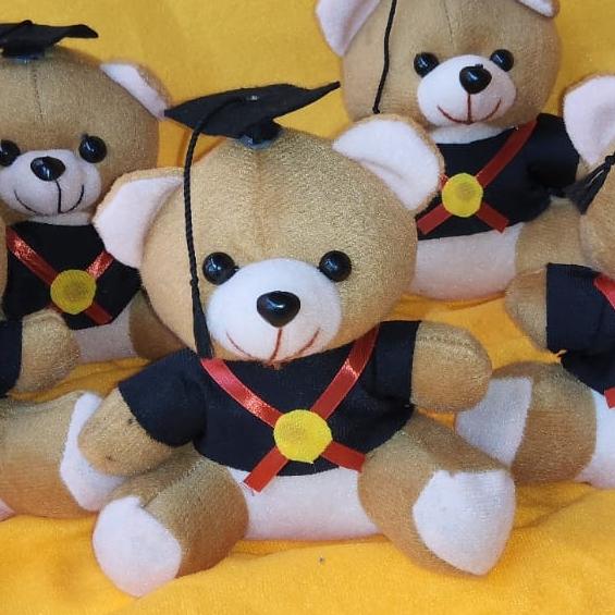 Gambar boneka wisuda mini - Cokelat dari Ar_raihan toys undefined Tokopedia