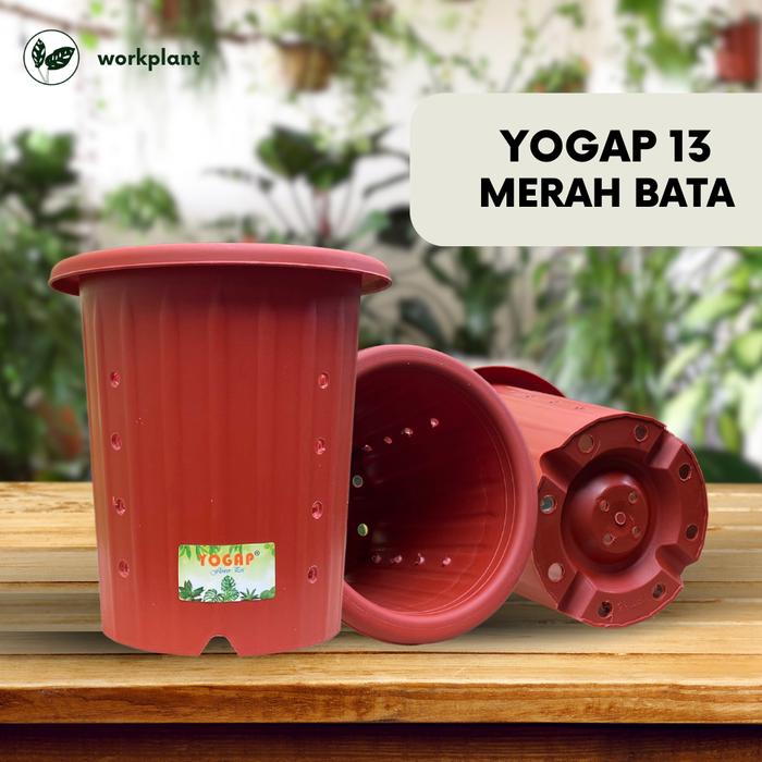 Gambar Pot Yogap (Extra Drainase) - Ukuran 13 Pot Bunga Tanaman Hias Tebal - Merah Bata, 1 pcs dari workplant official undefined Tokopedia
