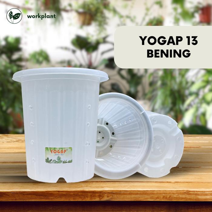 Gambar Pot Yogap (Extra Drainase) - Ukuran 13 Pot Bunga Tanaman Hias Tebal - Bening, 1 pcs dari workplant official undefined Tokopedia