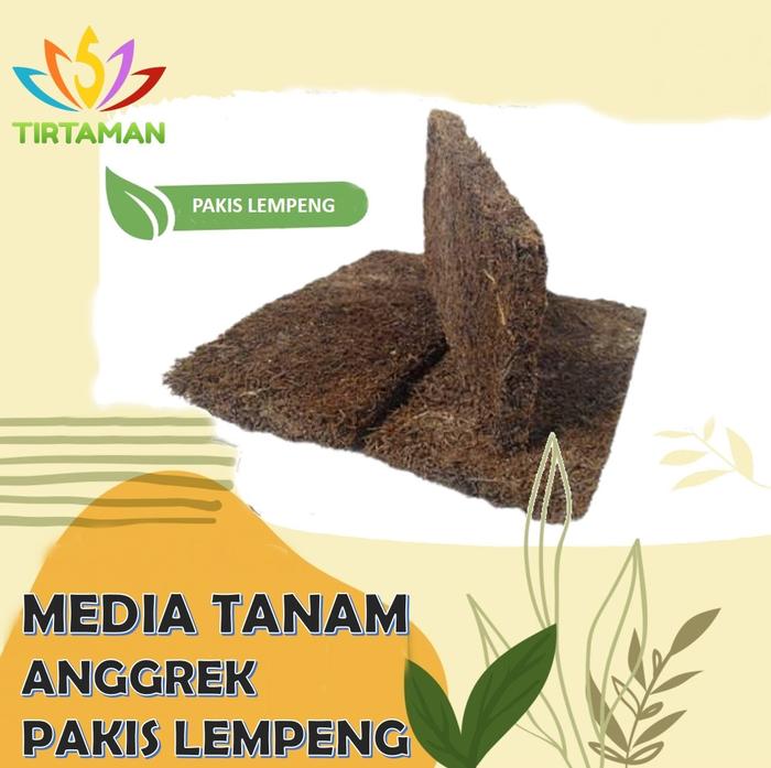 Gambar Media Tanam Anggrek Pakis Lempeng / Papan / Kotak dari TIRTAMAN undefined Tokopedia