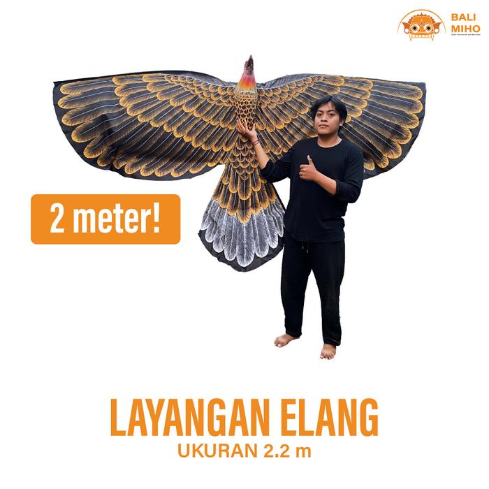 Gambar Layangan Burung Elang 3 meter - Layangan Rajawali - Layangan Burung dari bali miho undefined Tokopedia