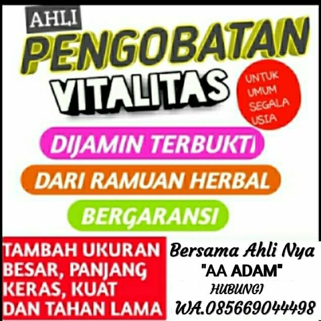 Gambar Pengobatan Alat Vital Purwodadi AA Adam 085669044498 dari Pengobatan Alat Vital Padang 085669044498 undefined Tokopedia