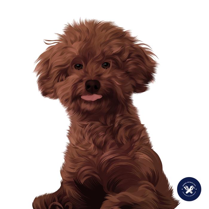 Gambar Ilustrasi Vector Anabul Hewan Peliharaan Kucing Anjing (Soft file) - Full Body dari Bengkel Retouch Foto undefined Tokopedia